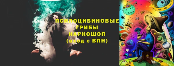 прущие грибы Белоозёрский