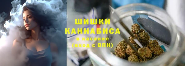прущие грибы Белоозёрский