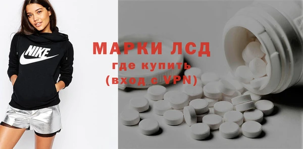 прущие грибы Белоозёрский