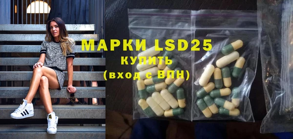 прущие грибы Белоозёрский