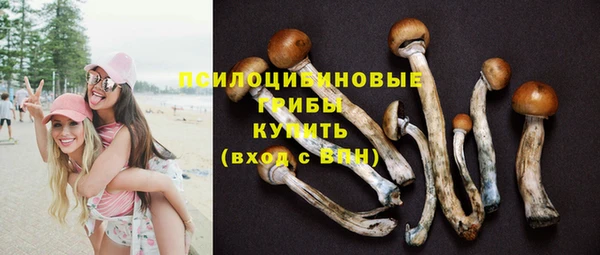прущие грибы Белоозёрский