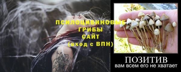 прущие грибы Белоозёрский