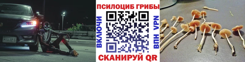 Галлюциногенные грибы мицелий  дарнет шоп  Шагонар 